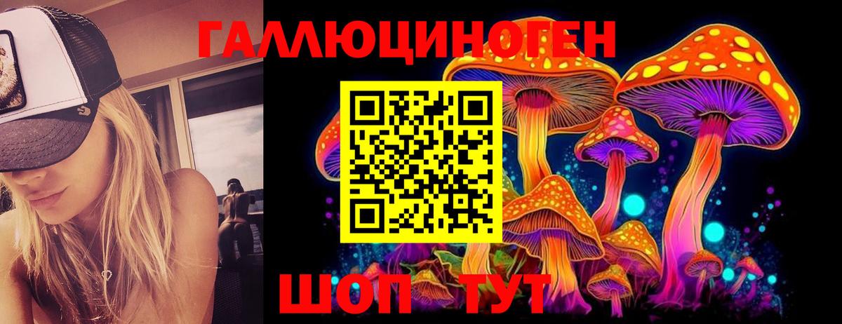 Псилоцибиновые грибы Psilocybe  Псилоцибиновые грибы прущие грибы  Вход с VPN  дарнет шоп  Карталы 