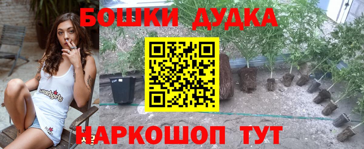 Конопля сатива Карталы